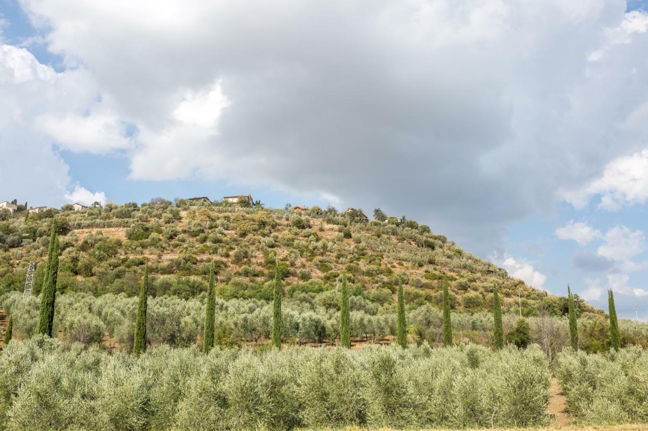 Montenero d'Orcia Little Val D'Orcia 아파트 외부 사진